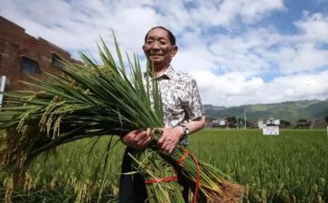 袁隆平心得体会范文7篇