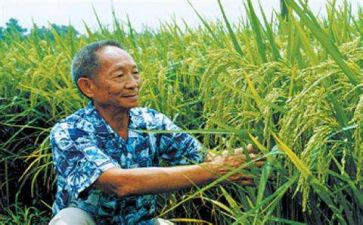 读袁隆平的读后感6篇