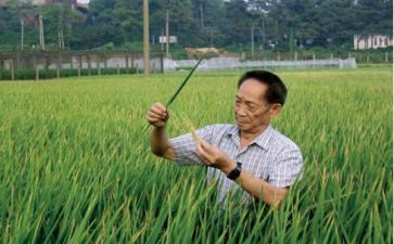 为袁隆平写演讲稿推荐7篇