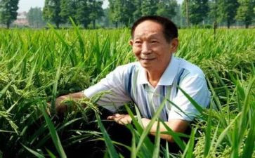 袁隆平的小作文最新6篇