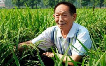 关于对袁隆平的演讲稿8篇