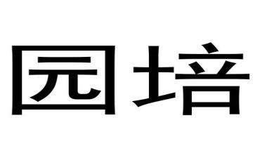 幼儿园培训体会心得7篇