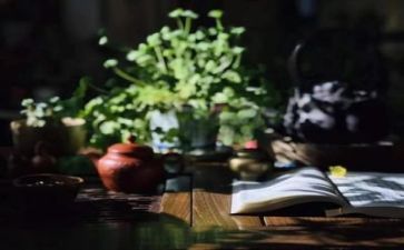 我阅读作文精选6篇