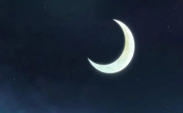 中秋节赏月亮作文最新8篇