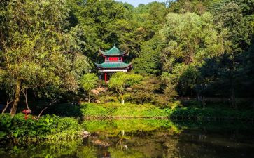 爬岳麓山作文优秀5篇