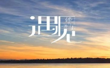 遇见的作文800字5篇