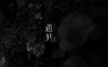 遇见自己的读后感5篇