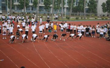奥运会2024小学生作文7篇