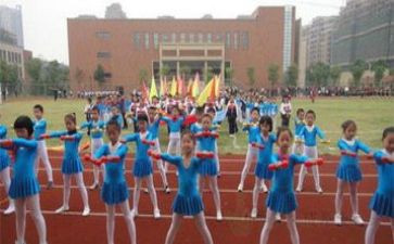 看奥运会感想作文7篇