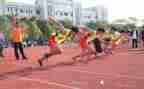 2024年杭州亚运会作文7篇