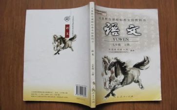 语文个人总结教师个人总结推荐5篇