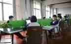 营在校园工作计划8篇