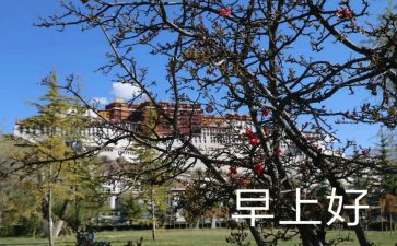 早读后感作文500字模板8篇