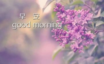 早早起读后感7篇