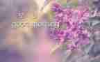 早早起读后感7篇