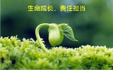 爱与责任演讲稿优秀7篇