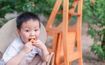 幼儿园小班摘果子教案5篇