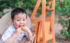 幼儿园小班摘果子教案5篇