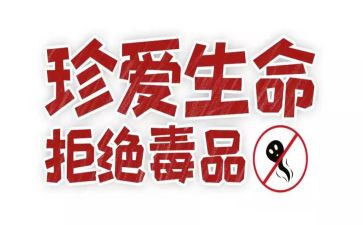 张子权观后感5篇