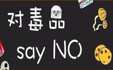 张子权观后感最新5篇
