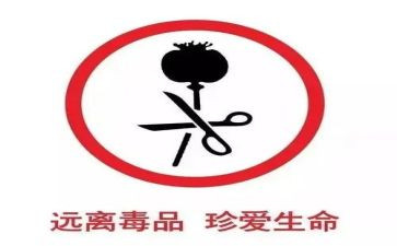 张子权事迹观后感8篇