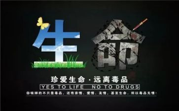 张子权事迹观后感最新6篇