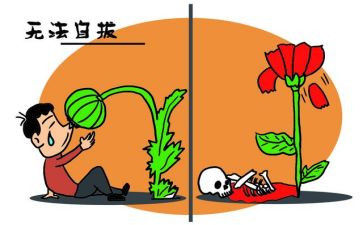 张子权观后感通用7篇