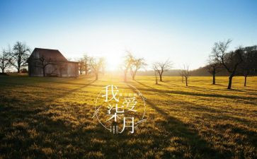 2024年,崭新的我作文优质5篇