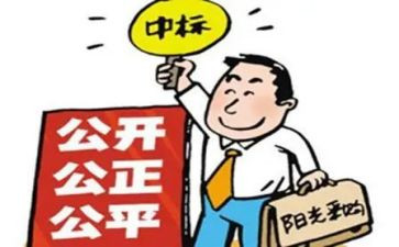 招标个人总结工作总结优质7篇