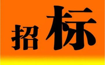 招标个人总结工作总结7篇