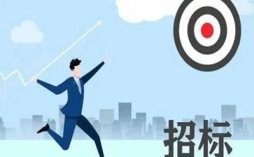 招标师个人总结7篇