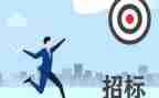 招标师个人总结7篇