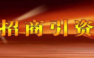 招商工作年度总结范文7篇