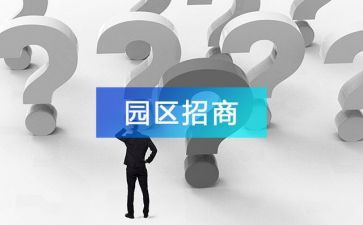 招商引资年终个人总结5篇