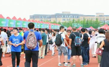 招生处工作计划2023优质8篇