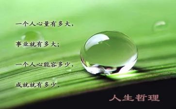 小故事大哲理读后感5篇