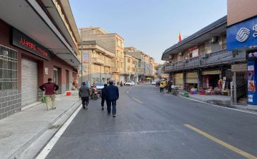 镇审计年度工作总结精选8篇