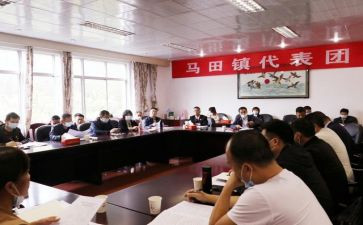 镇代表述职报告8篇