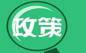 双减政策的心得体会最新7篇