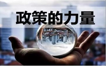 双减政策的心得体会通用5篇