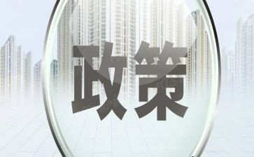 政策活动总结优质6篇
