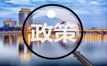 政策活动总结5篇