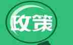 双减政策的心得体会最新7篇