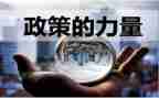 双减政策的心得体会通用5篇