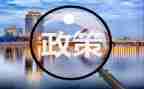 形与政策心得体会参考5篇