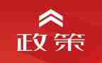 双减政策的心得体会精选6篇