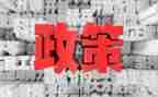 教师双减政策教师心得体会8篇
