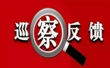 学校整改自查报告5篇