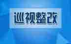 党支部整改报告6篇