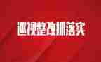 2024年幼儿园整改报告优质6篇